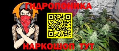 прущие крисы Краснознаменск
