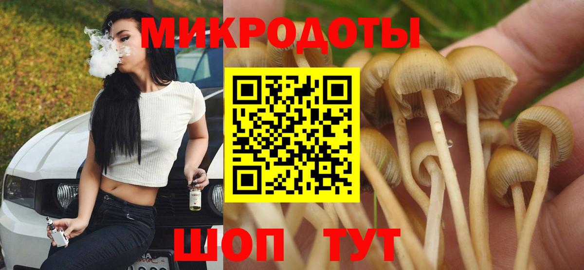 Псилоцибиновые грибы MAGIC MUSHROOMS  Вход с VPN  Гусев 